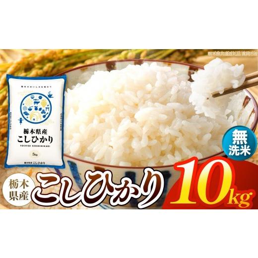 ふるさと納税 無洗米 栃木県 矢板市 令和8年産 新米 栃木県産 お米 こしひかり (無洗米) 10kg 2026年秋 先行予約 | 栃木県 矢板市 栃木県共通返礼品 真岡…