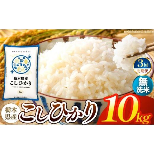 ふるさと納税 無洗米 栃木県 矢板市 令和8年産 新米 定期便3回 栃木県産 お米 こしひかり (無洗米) 10kg 2026年秋以降発送 | 栃木県 矢板市 栃木県共通返…
