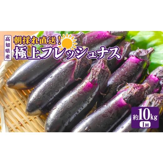 ふるさと納税 野菜類 高知県 安芸市 「優秀賞受賞なす」 約10kg 約100本 採れたて 新鮮 旬 野菜 やさい 茄子 先行予約 期間限定 季節 料理 ご飯 ごはん 高知県…