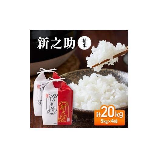 ふるさと納税 米 コシヒカリ 新潟県 十日町市  先行予約 令和8年産 新之助20kg(5kg×4袋)_1