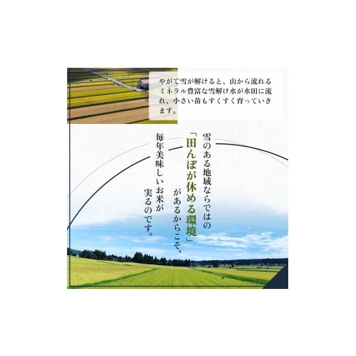 ふるさと納税 米 コシヒカリ 新潟県 十日町市  先行予約 令和8年産 新之助20kg(5kg×4袋)_2