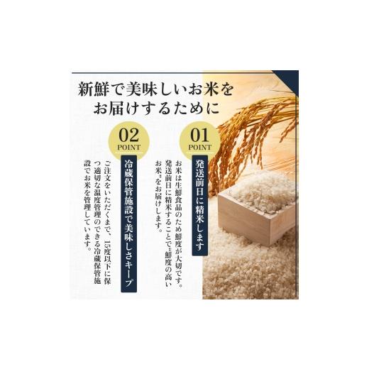 ふるさと納税 米 コシヒカリ 新潟県 十日町市  先行予約 令和8年産 新之助20kg(5kg×4袋)_3