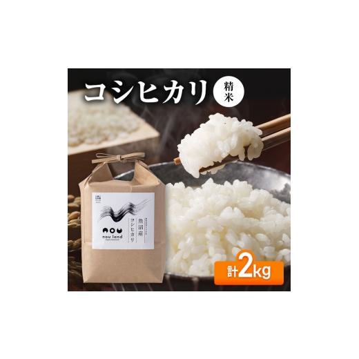 ふるさと納税 米 コシヒカリ 新潟県 十日町市 先行予約 令和8年産 コシヒカリ精米2kg
