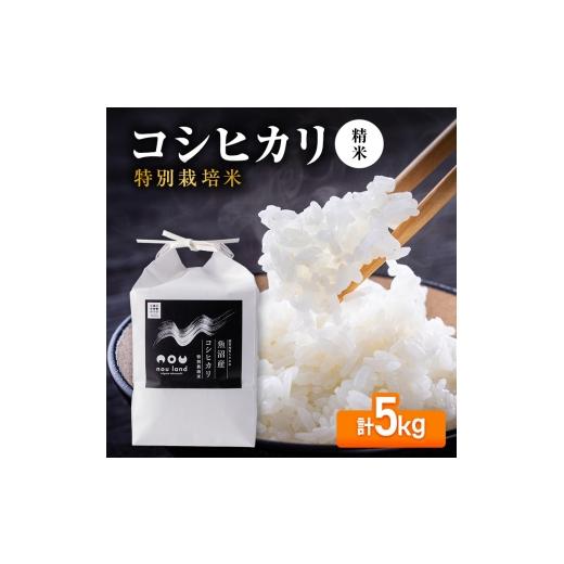 ふるさと納税 米 コシヒカリ 新潟県 十日町市 先行予約 令和8年産 コシヒカリ 特別栽培 精米5kg