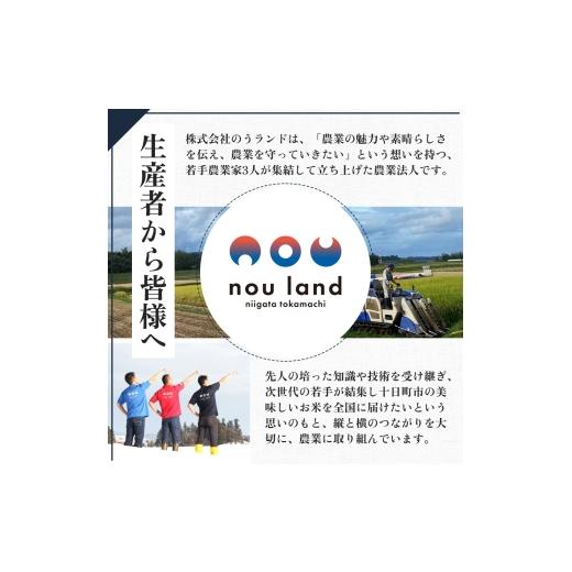ふるさと納税 米 コシヒカリ 新潟県 十日町市 先行予約 令和8年産 定期便 新之助精米5kg×3カ月_4