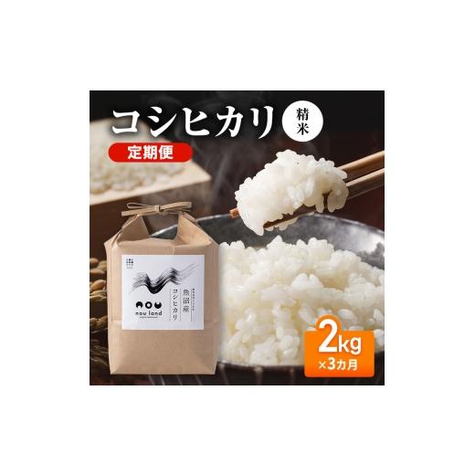ふるさと納税 米 コシヒカリ 新潟県 十日町市 先行予約 令和8年産 定期便 コシヒカリ精米2kg×3カ月