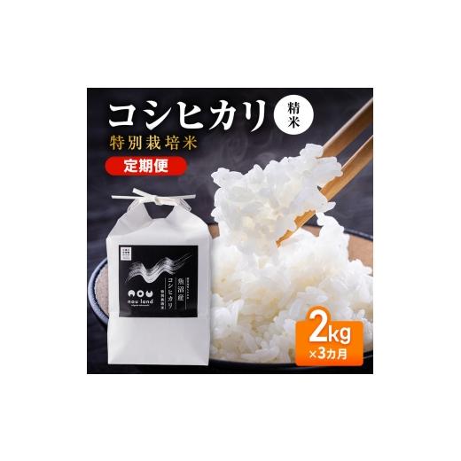 ふるさと納税 米 コシヒカリ 新潟県 十日町市 先行予約 令和8年産 定期便 コシヒカリ特別栽培 精米 2kg×3カ月