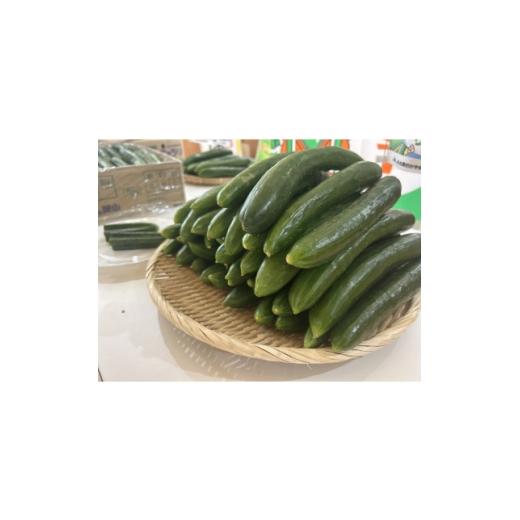 ふるさと納税 野菜類 岡山県 久米南町 久米南町産 里海きゅうり 訳あり 約5kg 1727200