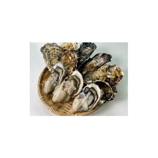 ふるさと納税 牡蠣 生牡蠣 富山県 入善町 生食用 深層水仕込みの殻付き真牡蠣 10個セット 1204141