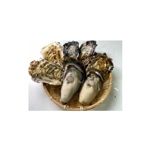 ふるさと納税 牡蠣 生牡蠣 富山県 入善町 生食用 深層水仕込みの殻付真牡蠣・岩牡蠣 真牡蠣5個・岩牡蠣2個セット 1204223