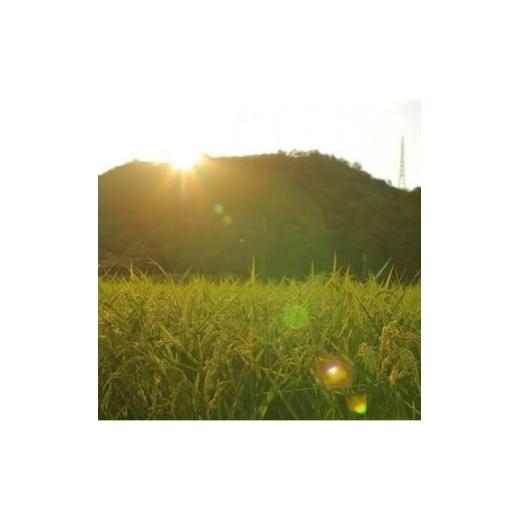 ふるさと納税 玄米 兵庫県 猪名川町  毎月定期便 猪名川町のお米コシヒカリ(玄米)10kg×全2回 4085214の画像