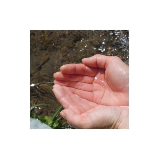 ふるさと納税 玄米 兵庫県 猪名川町  毎月定期便 猪名川町のお米コシヒカリ(玄米)10kg×全2回 4085214の画像