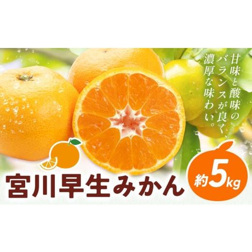 ふるさと納税 果物類 みかん 和歌山県 日高川町 宮川早生みかん 約5kg マルツネ農園[12月上旬-1月下旬頃出荷] 和歌山県 日高川町 旬 果物 みかん 蜜柑 フル…