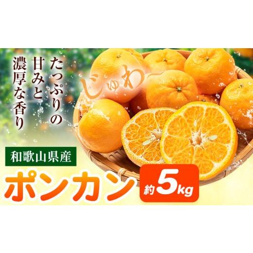 ふるさと納税 みかん・柑橘類 和歌山県 日高川町 ポンカン 和歌山県産 約5kg マルツネ農園[2027年1月中旬-3月下旬頃出荷] 和歌山県 日高川町 ポンカン 旬 果…