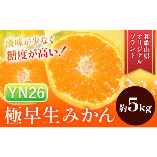 ふるさと納税 果物類 みかん 和歌山県 日高川町 先行予約 極早生みかん YN26 約5kg マルツネ農園[9月下旬-10月下旬頃出荷] 和歌山県 日高川町 旬 果物 みか…