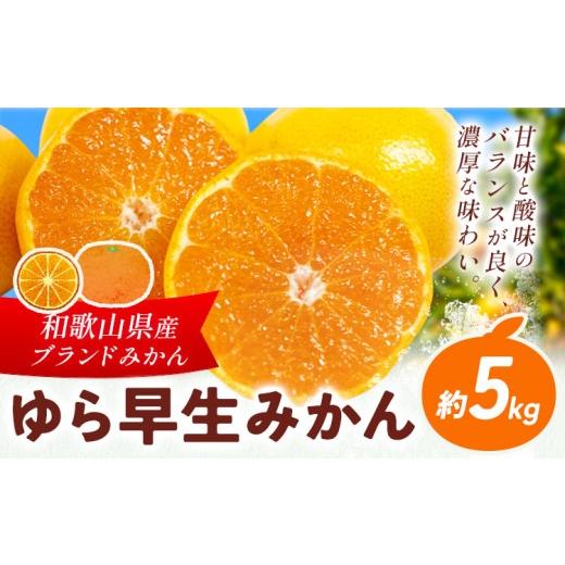 ふるさと納税 果物類 みかん 和歌山県 日高川町 ゆら早生みかん 約5kg マルツネ農園[11月上旬-12月下旬頃出荷] 和歌山県 日高川町 旬 果物 みかん 蜜柑 フル…