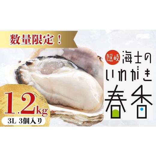 ふるさと納税 牡蠣 生牡蠣 島根県 海士町 4-5月限定 真牡蠣より肉厚 いわがき春香 3Lサイズ 3個|一期一会の贅沢サイズ 極上岩牡蠣(生食可)