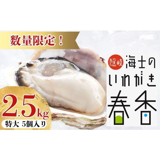 ふるさと納税 牡蠣 生牡蠣 島根県 海士町 4-5月限定 真牡蠣より肉厚 いわがき春香 特大サイズ 5個|幻の極大サイズ 極上岩牡蠣(生食可)