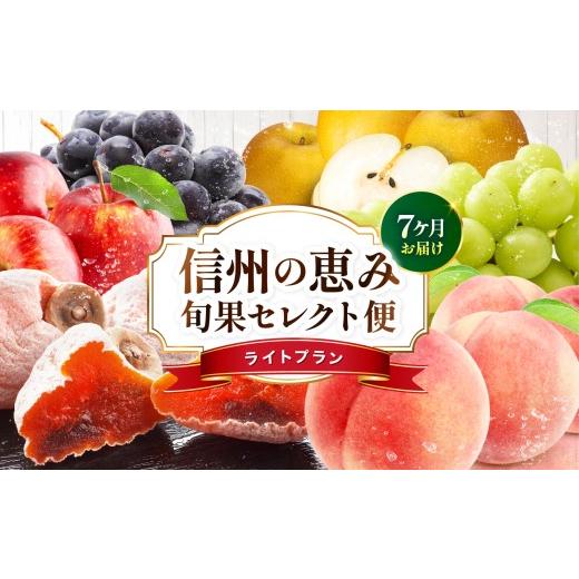 ふるさと納税 果物の詰合せ 長野県 飯田市 定期便7回 信州の恵み 旬果 セレクト便 ( ライトプラン )| 果物 リレー くだもの フルーツ 桃 ぶどう 梨 りんご 市…