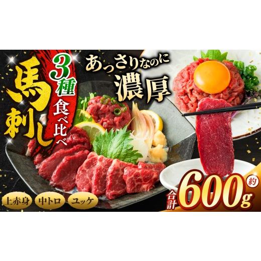 ふるさと納税 馬肉 長野県 伊那市 馬刺し 3種 食べ比べ セット 約600g ( 訳あり 上赤身 ・ 霜降り 中トロ ・ 馬肉 ユッケ 各約200g ) | 馬刺し 上赤身 霜降…
