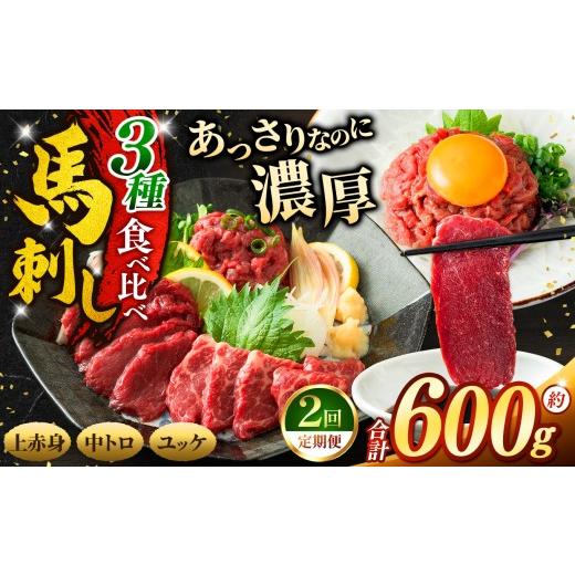 ふるさと納税 馬肉 長野県 伊那市 馬刺し 2ヶ月定期便 3種 食べ比べ セット 約600g ( 訳あり 上赤身 ・ 霜降り 中トロ ・ 馬肉 ユッケ 各約200g ) | 馬刺し …
