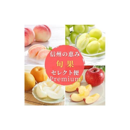 ふるさと納税 果物の詰合せ 長野県 飯田市 定期便7回 信州の恵み 旬果 セレクト便 ( プレミアム )| 果物 リレー くだもの フルーツ 桃 ぶどう 梨 りんご 市田…