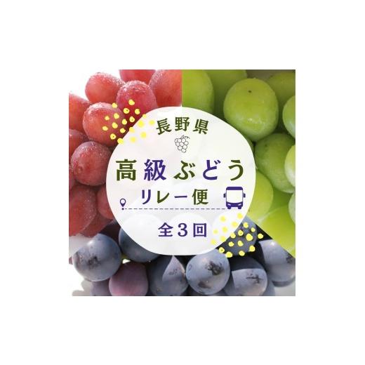 ふるさと納税 ぶどう 長野県 飯田市 定期便3回 長野県産 高級 ぶどう リレー便 ( 3ヶ月 )| 果物 リレー くだもの フルーツ ぶどう 旬 産地直送 定期便 長野県…