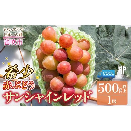 ふるさと納税 ぶどう 山梨県 笛吹市 2026年発送先行予約 笛吹市産 サンシャインレッド 500g以上(1房) 205-014-26y
