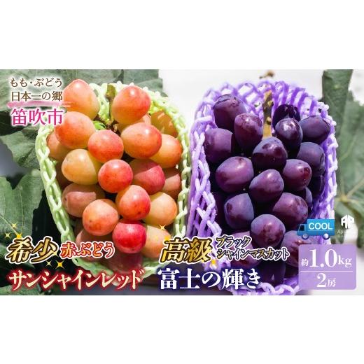 ふるさと納税 ぶどう 山梨県 笛吹市 2026年発送先行予約 笛吹市産 サンシャインレッド × 富士の輝き 食べ比べセット 約1.0kg(2房) 205-018-26y