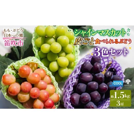 ふるさと納税 ぶどう 山梨県 笛吹市 2026年発送先行予約 笛吹市産 シャインマスカット含む 皮ごと食べられる3色ぶどうセット 約1.5kg 205-019-26y
