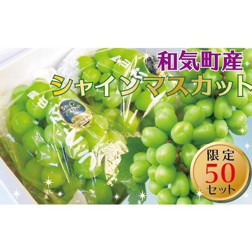 ふるさと納税 ぶどう マスカット 岡山県 和気町 2026年発送 シャインマスカット ぶどう フルーツ 果物 | 1.0kg (1〜2房) | 送料無料 産地直送