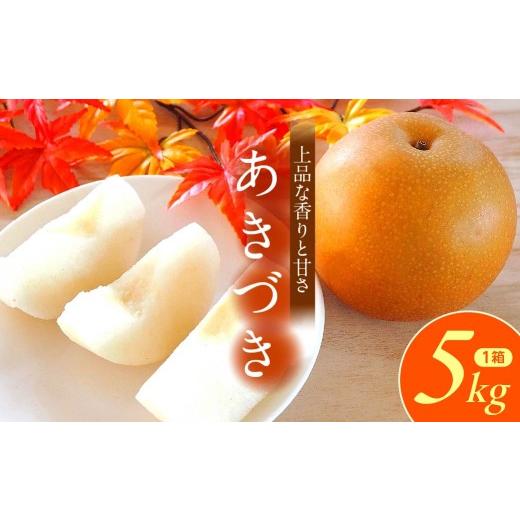 ふるさと納税 梨 埼玉県 久喜市 梨 あきづき 5kg 11玉 12玉 2026年 先行予約 数量限定 | 梨 フルーツ 果物 あきづき 和梨 産地直送 限定品 贈り物 新鮮 お取り…