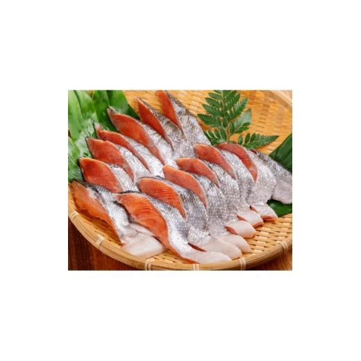 ふるさと納税 魚貝類 鮭 北海道 小清水町 天然 新巻鮭半身切身 (2切れ×5パック) 1683196