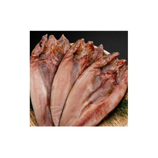 ふるさと納税 旬の鮮魚等 北海道 小清水町 北海道産 ほっけ一夜干し(冷凍・1枚真空パック) 3枚セット 1690803
