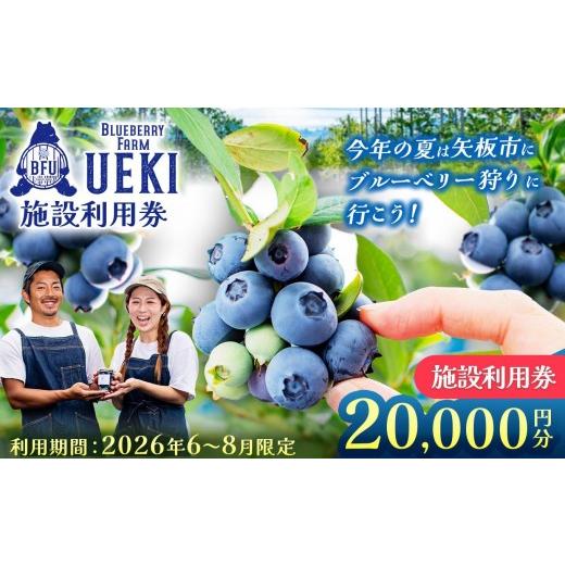 ふるさと納税 体験チケット 栃木県 矢板市 BULE BERRY FARM UEKI 施設利用券 20000円分 施設利用券20000円分 | 67000円