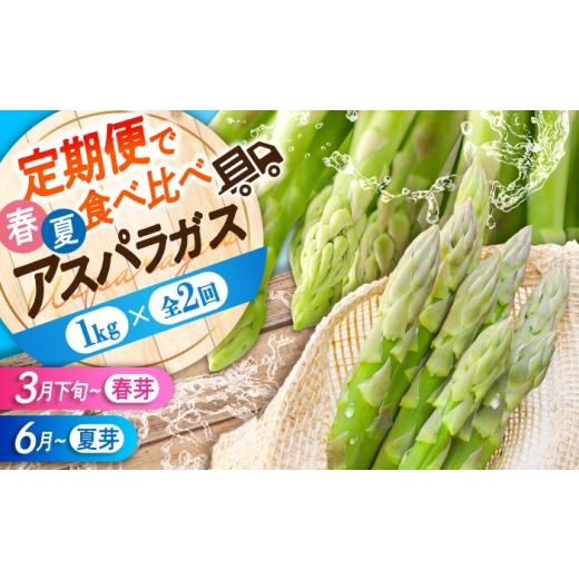 ふるさと納税 野菜類 アスパラガス 広島県 三次市 アスパラガス 全2回定期便 春芽&夏芽アスパラガス 各1.0kg(計2.0kg)アスパラ 旬 野菜 グリーンアスパラ …