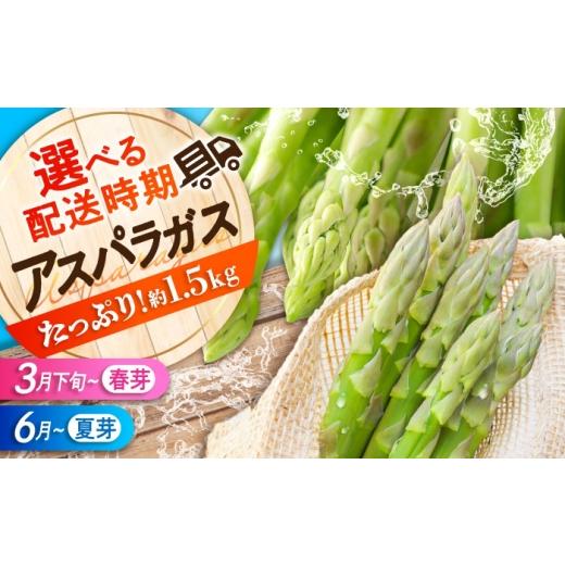 ふるさと納税 野菜類 アスパラガス 広島県 三次市 スピード発送 アスパラガス 春芽アスパラガス(約1.5kg)アスパラ 旬 野菜 グリーンアスパラ とれたて アス…