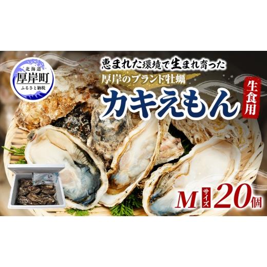 ふるさと納税 牡蠣 生牡蠣 北海道 厚岸町 牡蠣 厚岸のブランド牡蠣 生食用 カキえもん Mサイズ 20個 魚貝類 海鮮 海のミルク 国産 生食用殻付き牡蠣 まろやか …