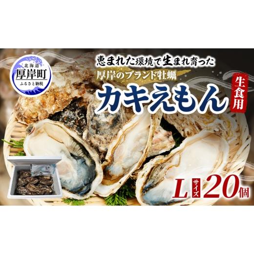 ふるさと納税 牡蠣 生牡蠣 北海道 厚岸町 牡蠣 厚岸のブランド牡蠣 生食用 カキえもん Lサイズ 20個 魚貝類 海鮮 海のミルク 国産 生食用殻付き牡蠣 まろやか …