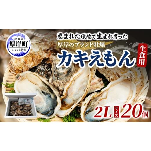 ふるさと納税 牡蠣 生牡蠣 北海道 厚岸町 牡蠣 厚岸のブランド牡蠣 生食用 カキえもん 2Lサイズ 20個 魚貝類 海鮮 海のミルク 国産 生食用殻付き牡蠣 まろやか…_1