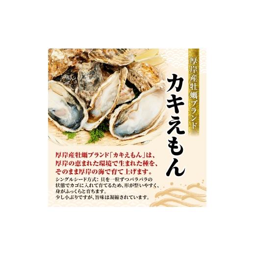 ふるさと納税 牡蠣 生牡蠣 北海道 厚岸町 牡蠣 厚岸のブランド牡蠣 生食用 カキえもん 2Lサイズ 20個 魚貝類 海鮮 海のミルク 国産 生食用殻付き牡蠣 まろやか…_3