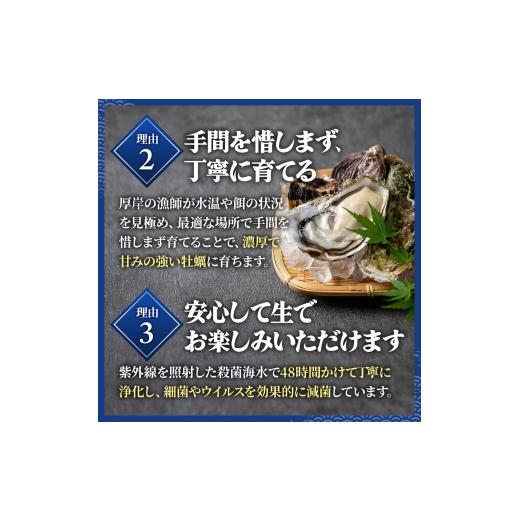 ふるさと納税 牡蠣 生牡蠣 北海道 厚岸町 牡蠣 厚岸のブランド牡蠣 生食用 カキえもん 2Lサイズ 20個 魚貝類 海鮮 海のミルク 国産 生食用殻付き牡蠣 まろやか…_5