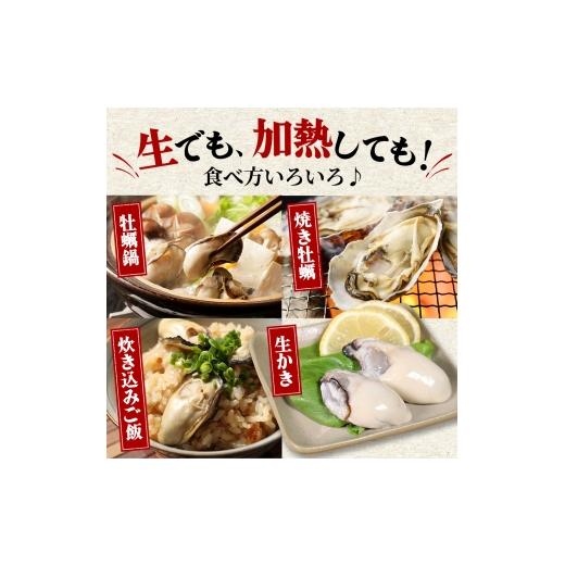 ふるさと納税 牡蠣 生牡蠣 北海道 厚岸町 牡蠣 厚岸のブランド牡蠣 生食用 カキえもん 2Lサイズ 20個 魚貝類 海鮮 海のミルク 国産 生食用殻付き牡蠣 まろやか…_6