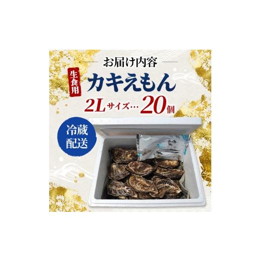 ふるさと納税 牡蠣 生牡蠣 北海道 厚岸町 牡蠣 厚岸のブランド牡蠣 生食用 カキえもん 2Lサイズ 20個 魚貝類 海鮮 海のミルク 国産 生食用殻付き牡蠣 まろやか…_7