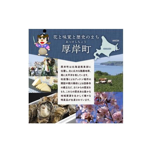 ふるさと納税 牡蠣 生牡蠣 北海道 厚岸町 牡蠣 厚岸のブランド牡蠣 生食用 カキえもん 2Lサイズ 20個 魚貝類 海鮮 海のミルク 国産 生食用殻付き牡蠣 まろやか…_8
