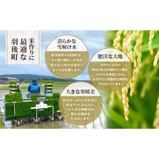 ふるさと納税 米 あきたこまち 秋田県 羽後町 新米 先行予約［令和8年産］定期便 秋田県産 あきたこまち 5kg×1袋 全6回 毎月お届け 羽後町産 藤原商店 米 お…の画像