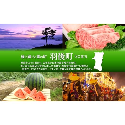 ふるさと納税 米 あきたこまち 秋田県 羽後町 新米 先行予約［令和8年産］定期便 秋田県産 あきたこまち 5kg×1袋 全6回 毎月お届け 羽後町産 藤原商店 米 お…の画像