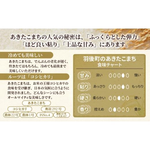 ふるさと納税 米 あきたこまち 秋田県 羽後町 新米 先行予約［令和8年産］定期便 秋田県産 あきたこまち 10kg (5kg×2袋) 全3回 毎月お届け 羽後町産 藤原商店…の画像