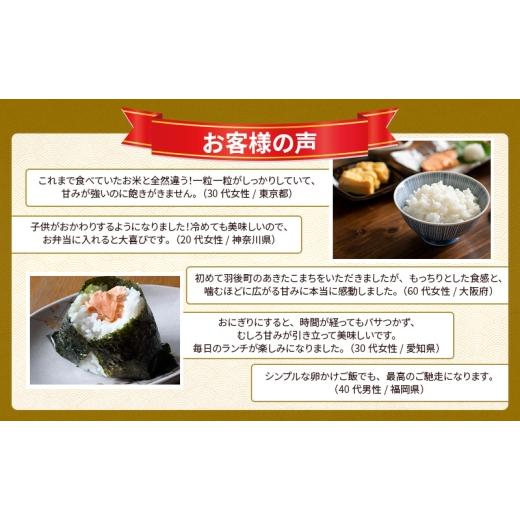 ふるさと納税 米 あきたこまち 秋田県 羽後町 新米 先行予約［令和8年産］定期便 秋田県産 あきたこまち 10kg (5kg×2袋) 全3回 毎月お届け 羽後町産 藤原商店…の画像