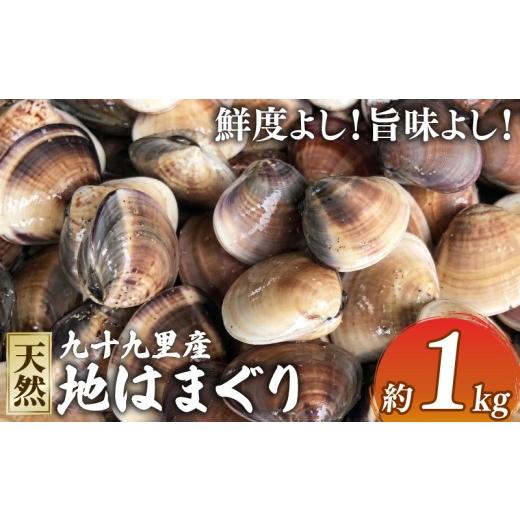 ふるさと納税 魚貝類 千葉県 旭市 先行予約 活 はまぐり 1kg ふるさと納税 はまぐり ぜんな 天然 国産 名産 九十九里 九十九里浜 酒蒸し お吸い物 お祝い 活…